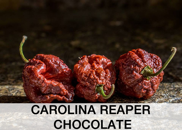 Carolina Reaper Chocolate